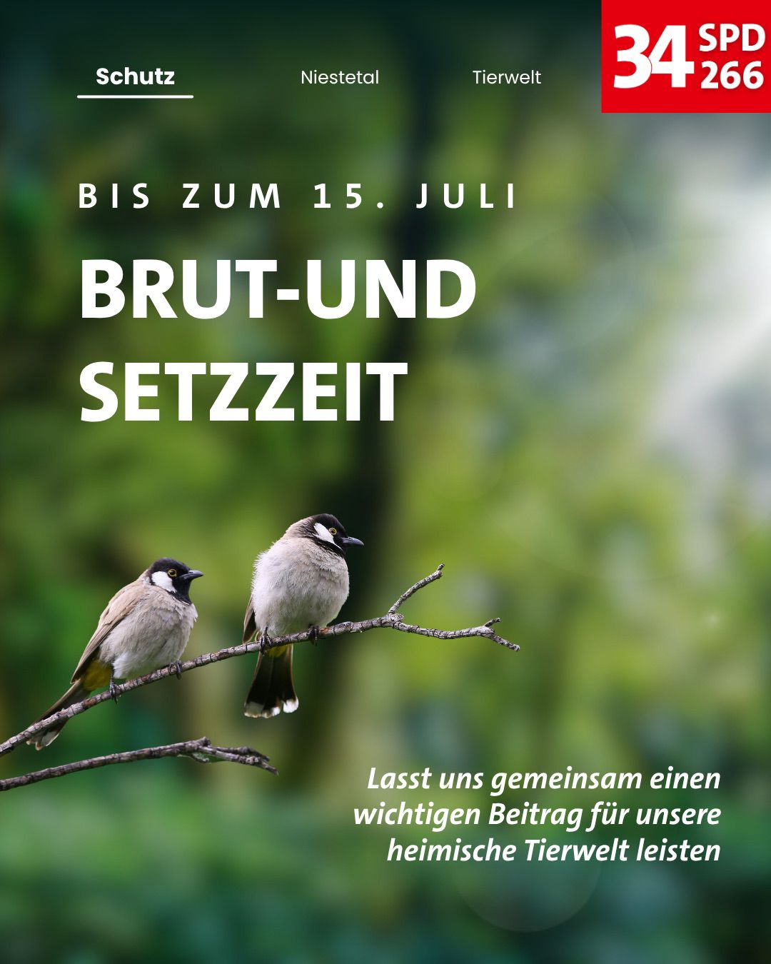 Du betrachtest gerade SPD informiert: Zeit für Natur